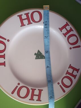 Festive Holiday Dinner Plate - Red & Green